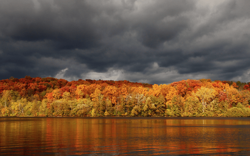 Autumn-Storm above trees
