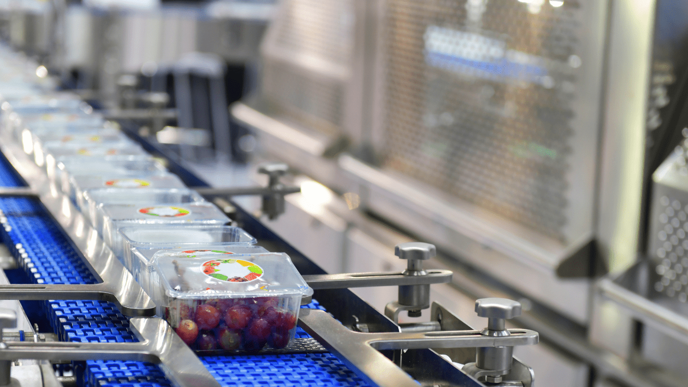 The interior of a food packaging plant. Several clear, plastic packages of red grapes are on a blue conveyor belt with silver steel fixtures throughout.